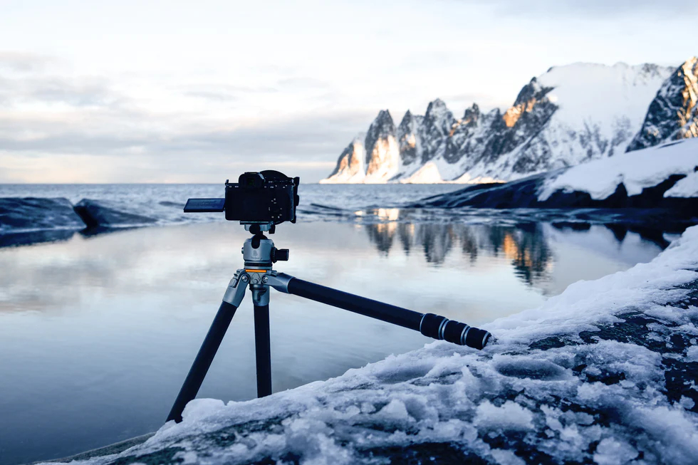 23071_Lion_Rock_Pro_inkl_Kopf | Abels & Kemmner - Supply chain optimisation